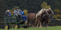 HUBERT Proseč pod Křemešníkem 2016